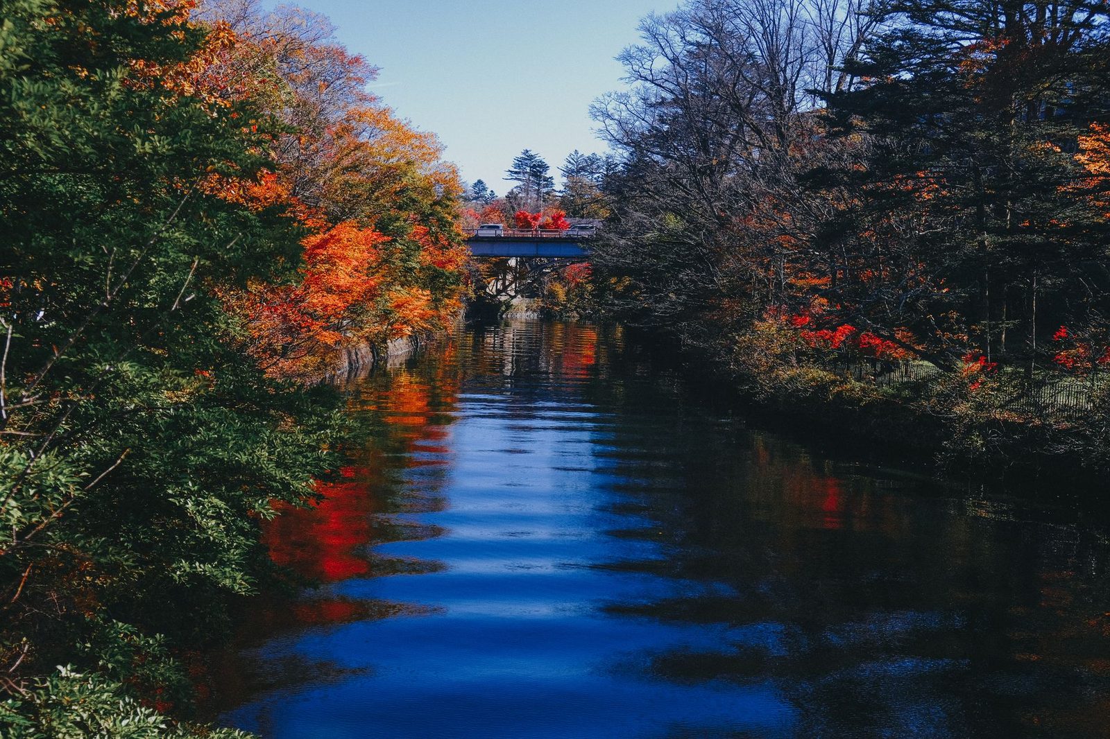 秋日光2天1夜：悠闲游览奥日光，清晨探访社寺