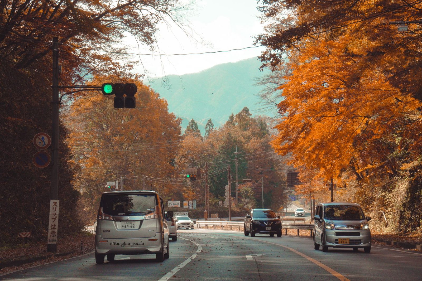 红叶季的日光(Nikko)：避开伊吕波坂(Irohazaka)堵车的诀窍与真实花费