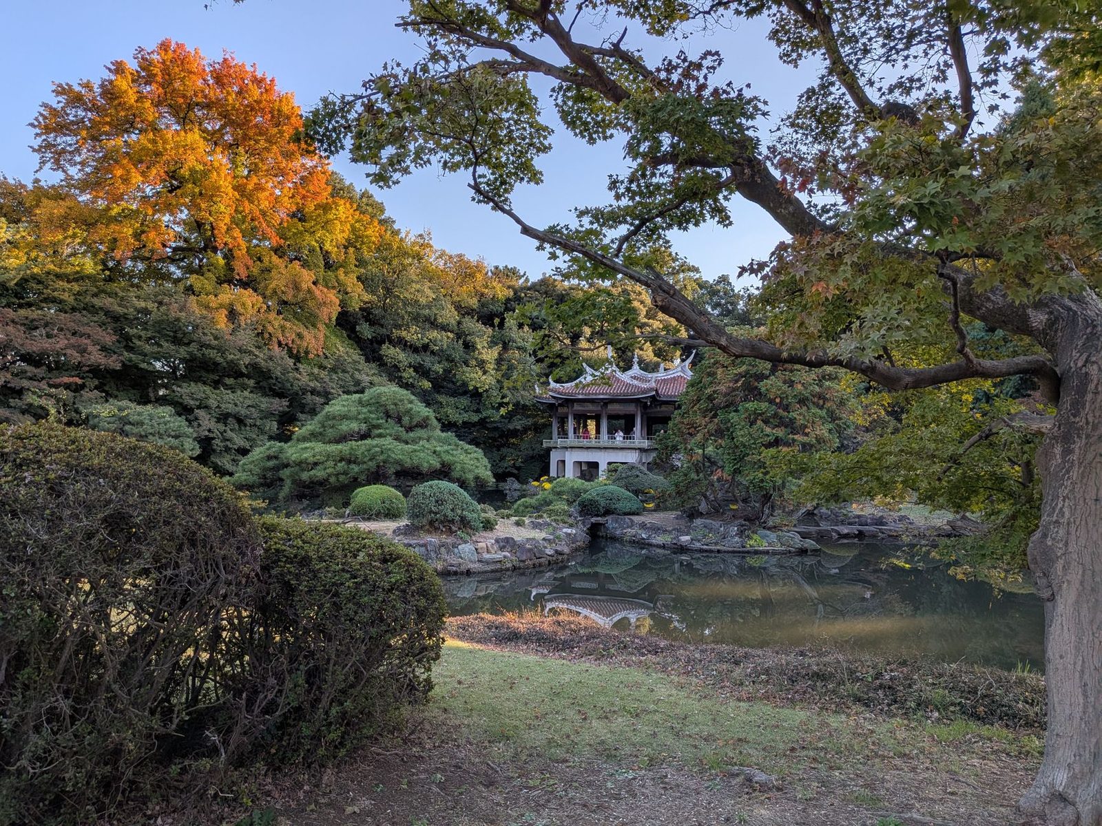 新宿御苑：四季の見どころと入園ガイド