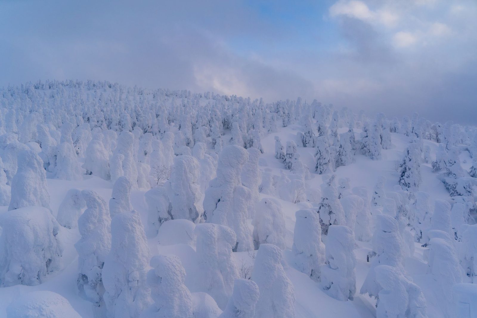Skifahren in Japan für Anfänger: von Grund auf lernen
