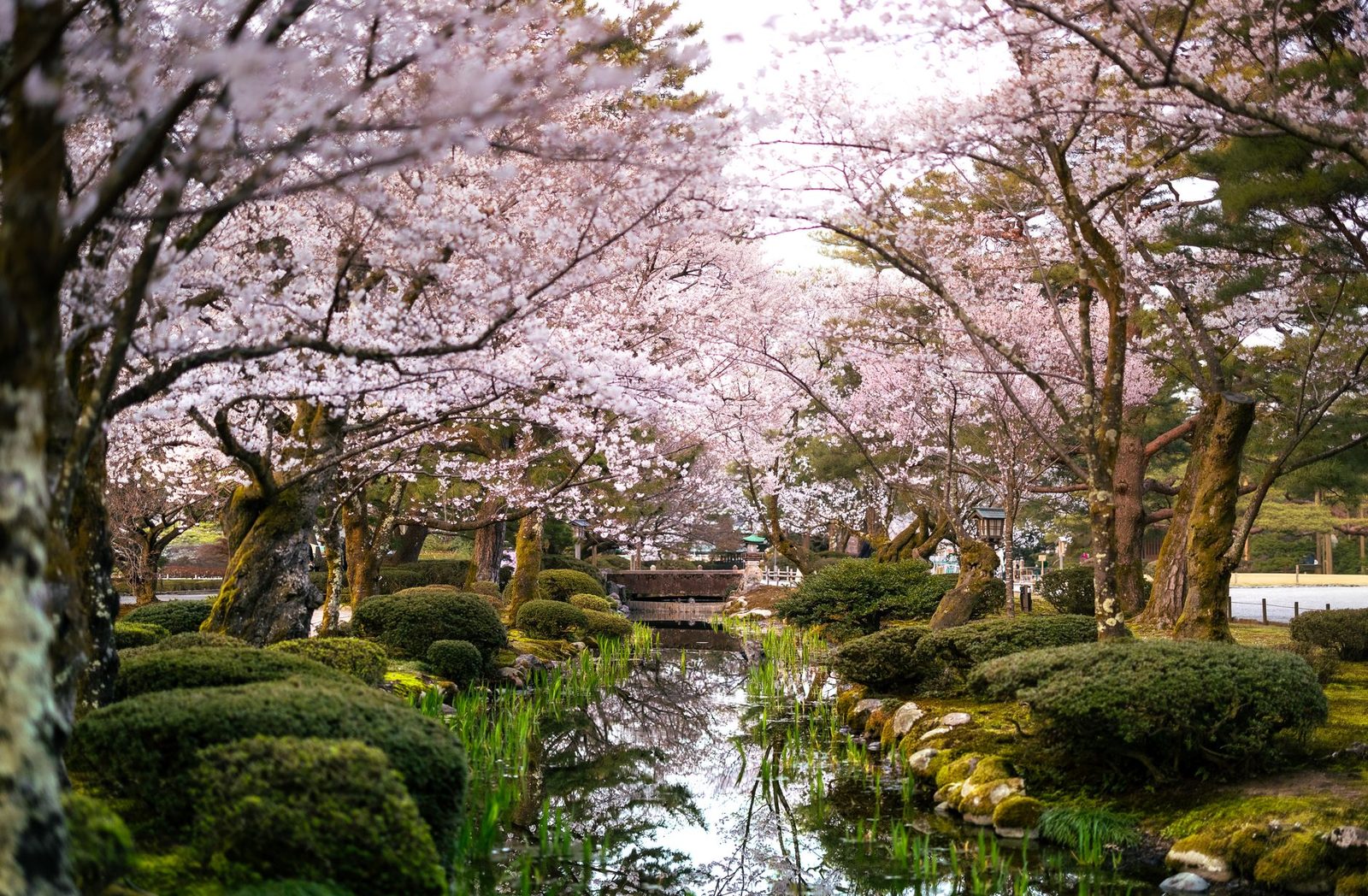 Kenroku-en garden and Kanazawa old quarters — 3