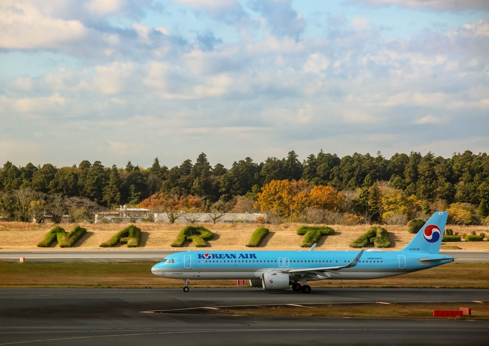 15～25人の団体向け成田空港(Narita Airport)送迎：29人乗りマイクロバスはあなたのグループに適している？