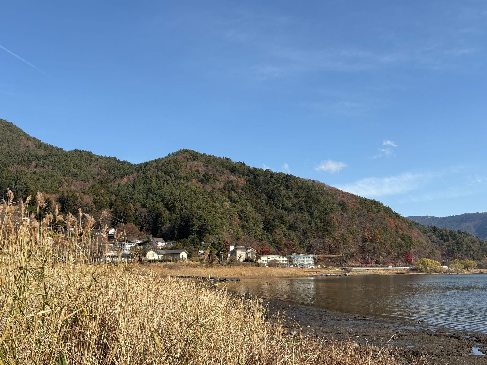 Calendario settimanale per seguire il foliage dei Cinque Laghi del Fuji