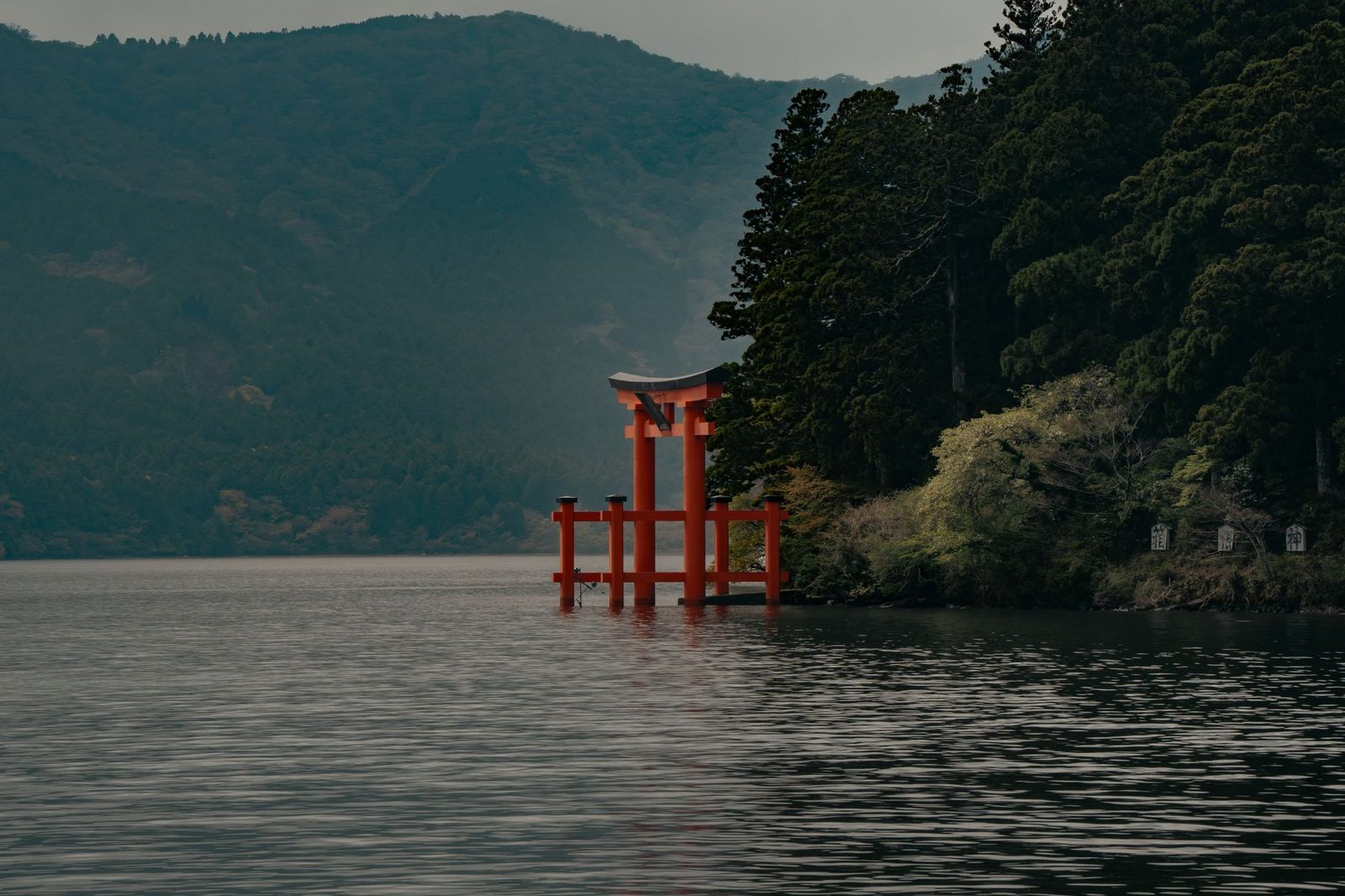 専用バンで巡る箱根ループ：ロープウェイ、芦ノ湖、美術館