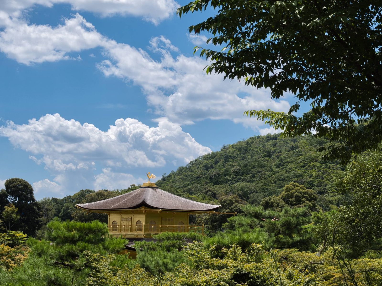 Kyoto – Der ultimative Guide zur alten kaiserlichen Hauptstadt Japans