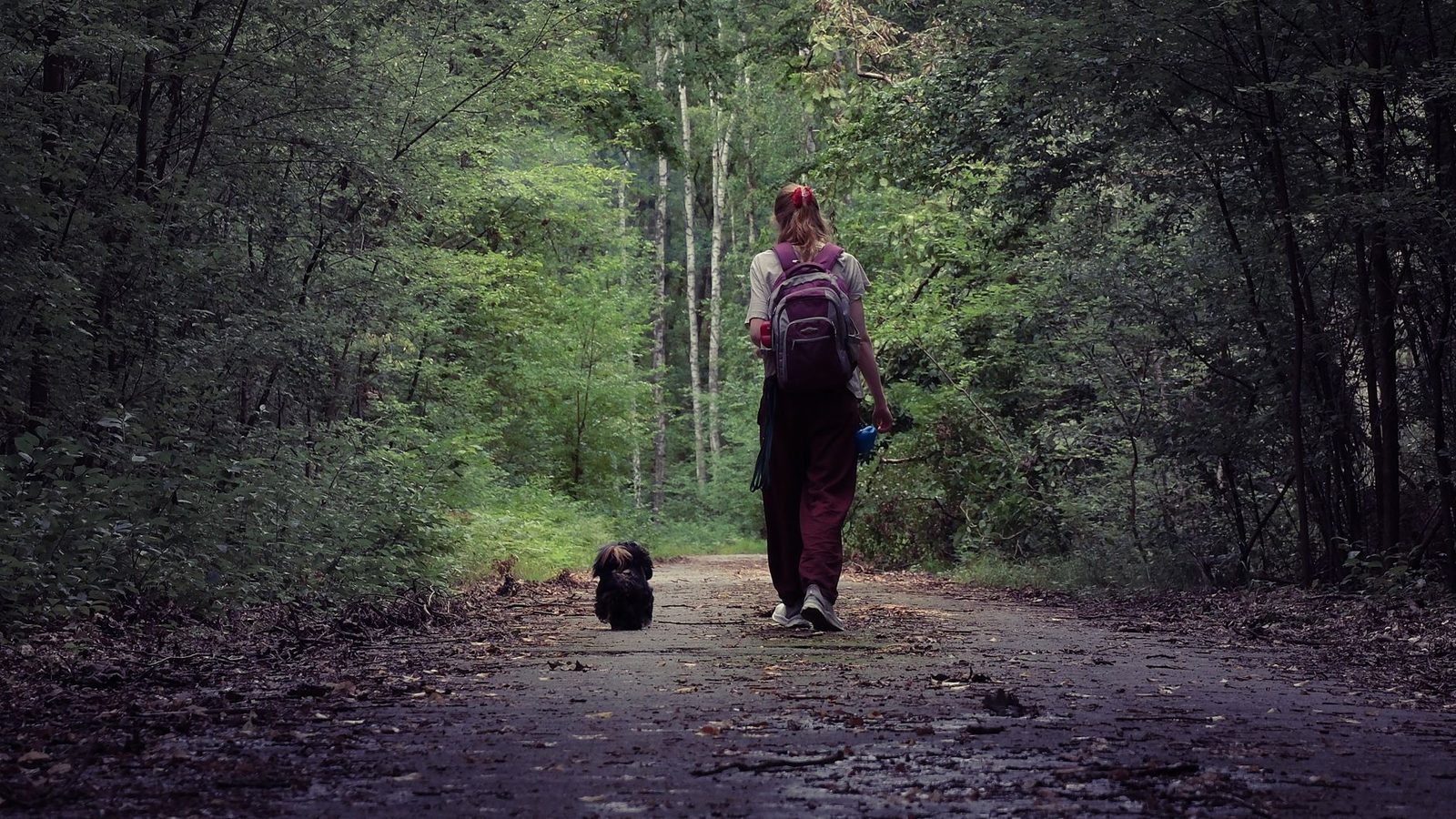Disfruta del aire libre con tu perro — globo aerostático, canoa y SUP
