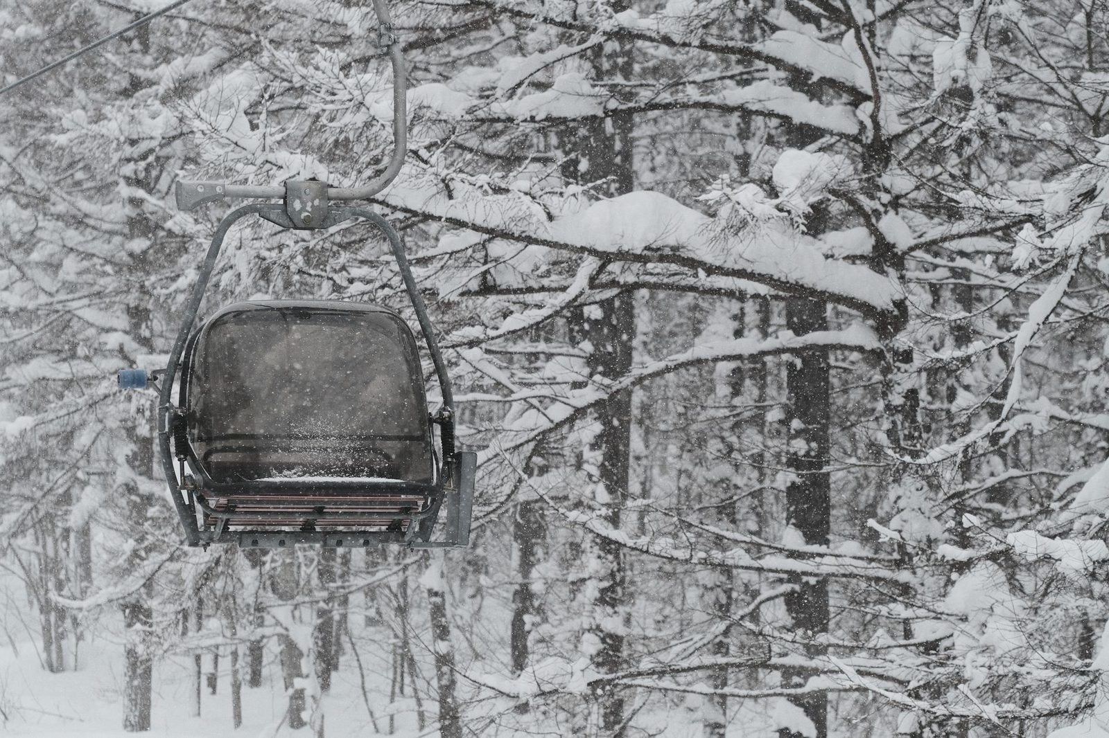 Empty chairlift passing snow-laden trees during a snowfall at a ski area