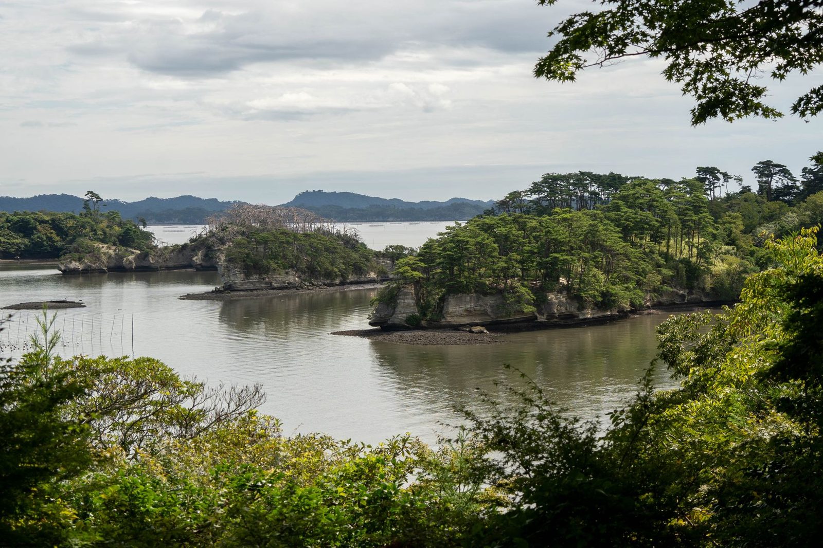 仙台と松島湾(Matsushima Bay)の団体旅行を計画する