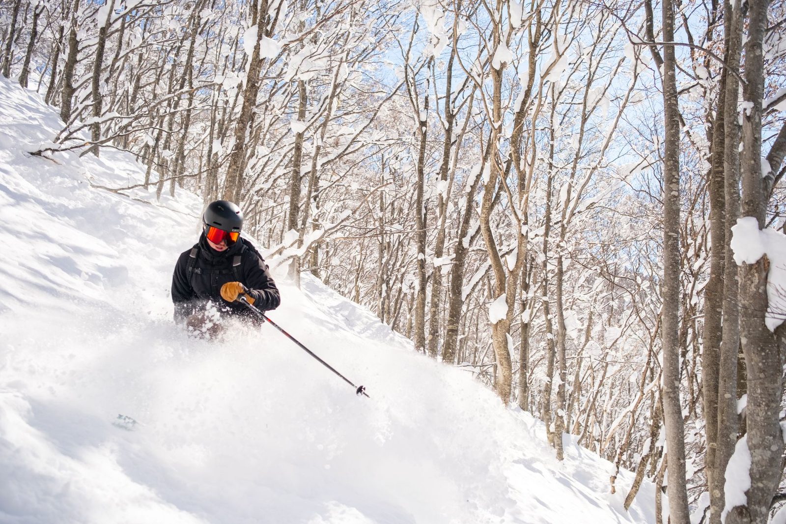 Skier carving through deep powder snow among frosted trees on a Japanese ski slope
