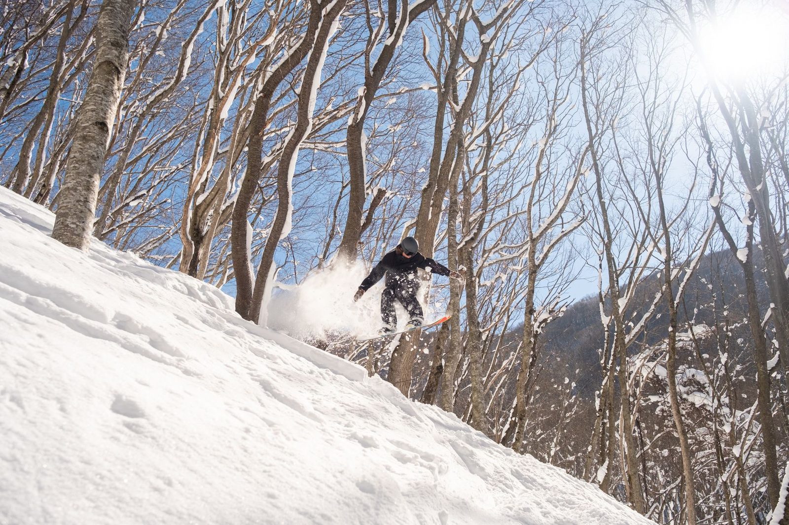 Skibusse für Gruppen vom New Chitose Airport nach Niseko