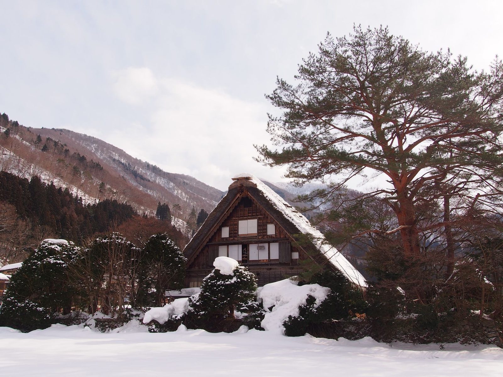 秋季红叶季的白川乡：避开旅行团的最佳时段与真实花费