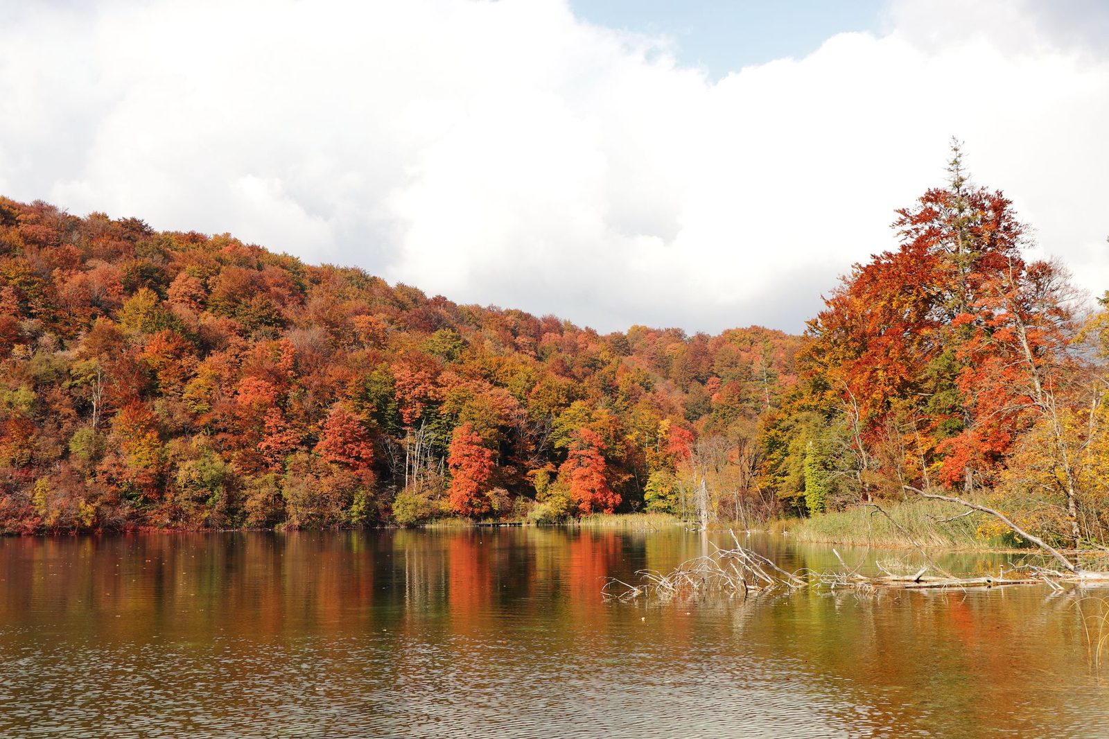 Towada-Hachimantai – Fire Lakes & Volcanic Highlands in Tohoku's Wild Heart