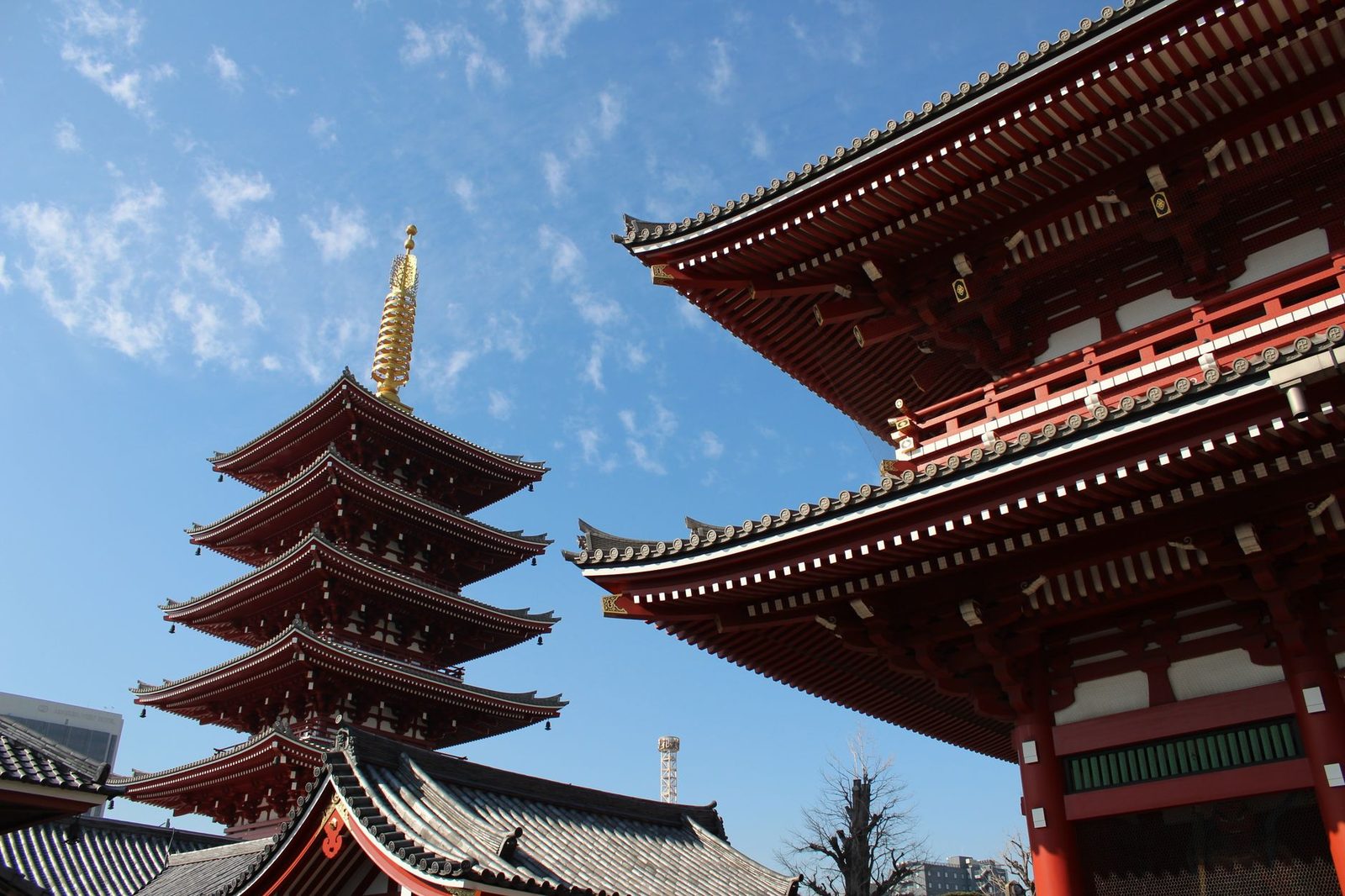 5-Day Tokyo Itinerary for First-Timers: The Perfect Blend of Historic Charm and Modern Energy