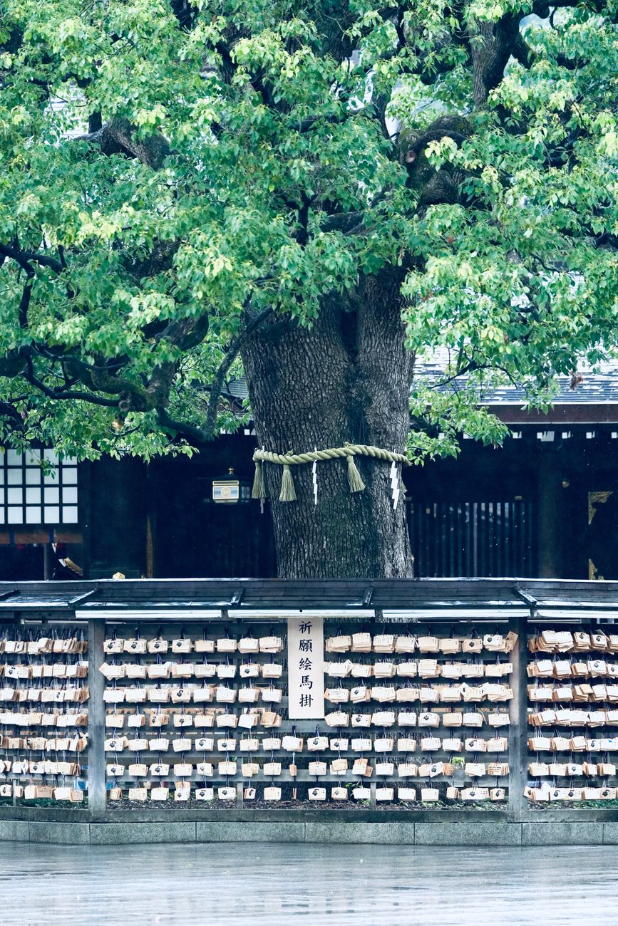 Dazaifu Tenmangu and the Fukuoka countryside — 3