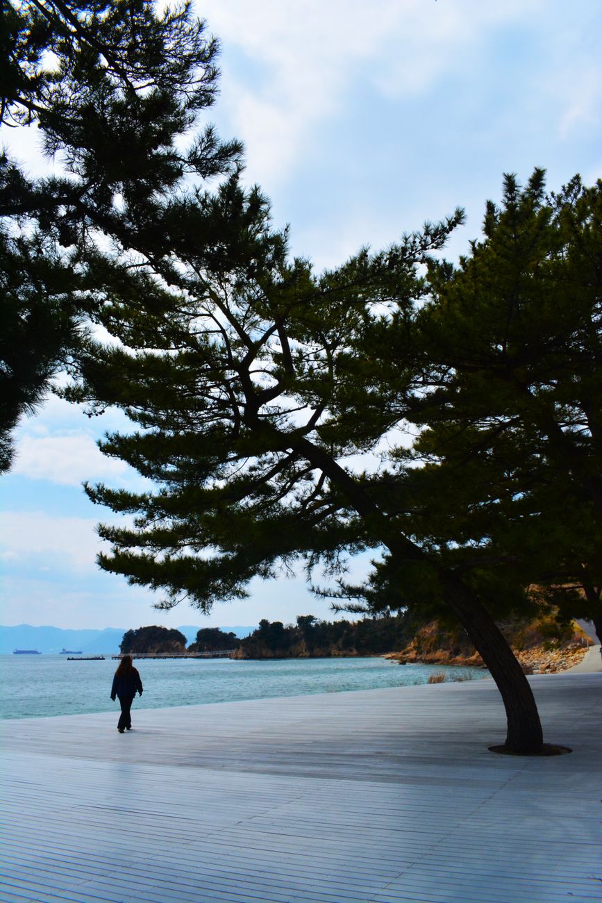 Matsushima Bay cruise and Zuigan-ji — 2