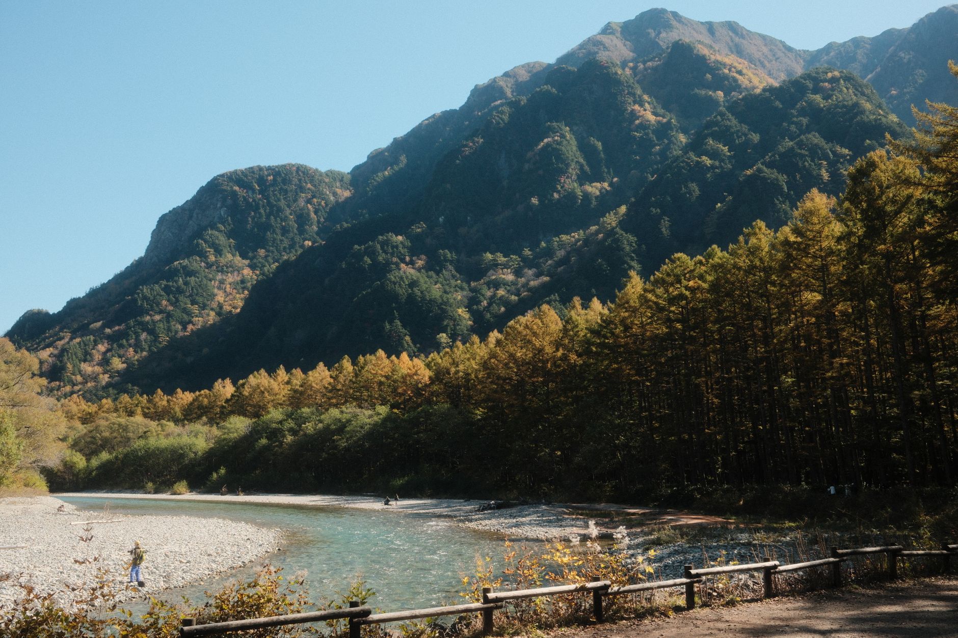 Riverside trail with a wooden rail fence beside the clear Azusa River and golden larches, Kamikochi