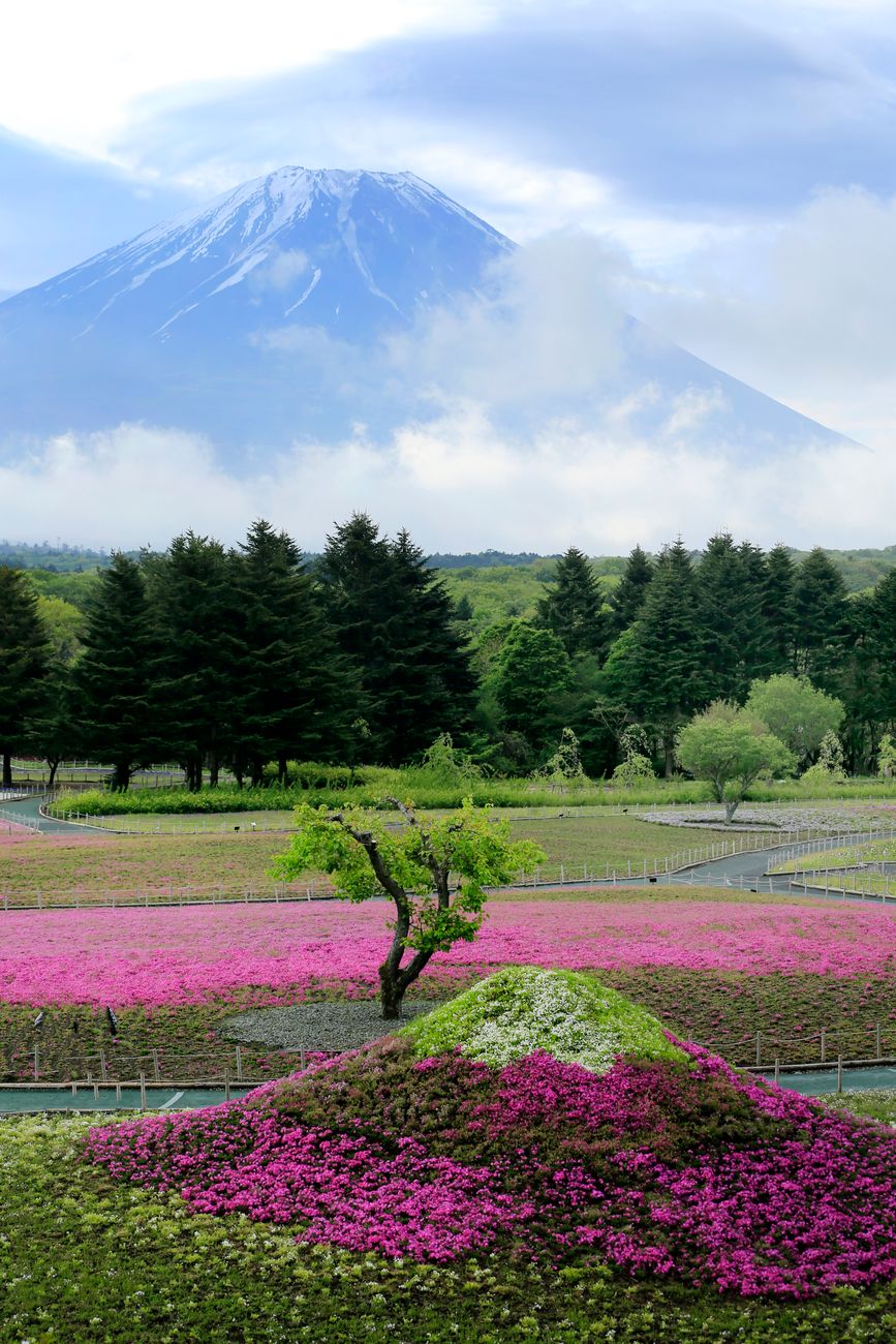 All-Inclusive Tokyo Golf Day: private luxury car, tee-time already held — 4