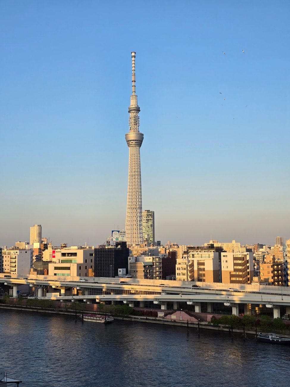 Along the Sumida: twelve bridges and an older Tokyo — 4