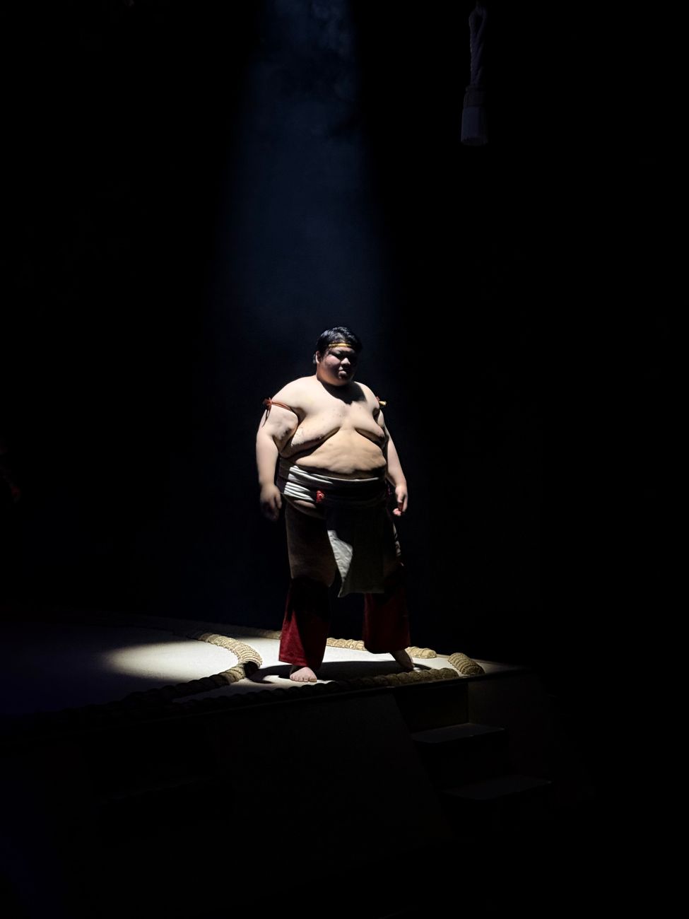 Sumo morning practice + wrestlers' chanko lunch — 2