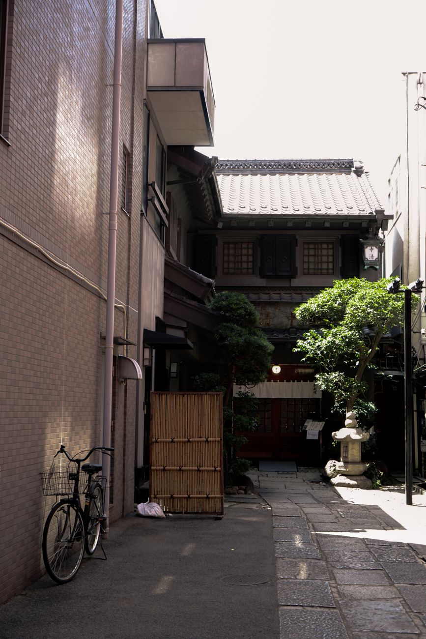 Yanaka at golden hour: the old Tokyo that survived — 4