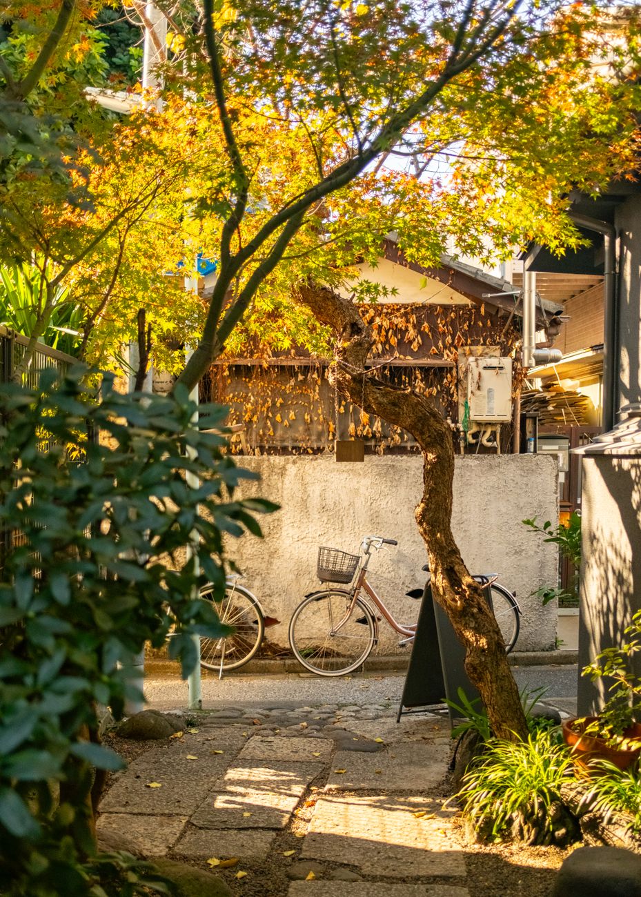 Tokyo backstreets by bike: Yanaka, Nezu and Sendagi in one morning — 2