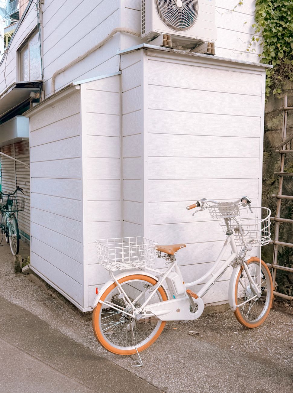 Tokyo backstreets by bike: Yanaka, Nezu and Sendagi in one morning — 3