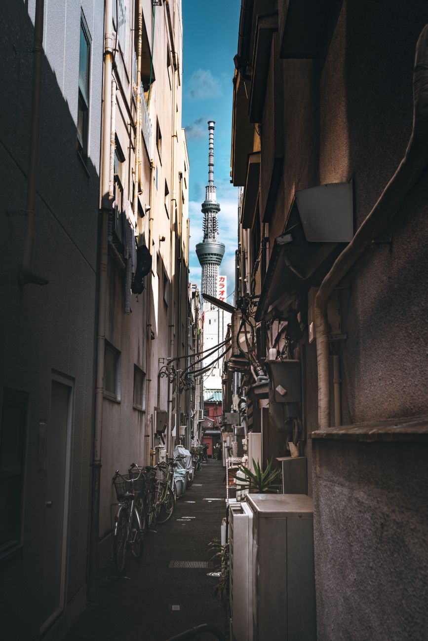 Bike and boat: Asakusa, the fish market and the Fukagawa canals — 4