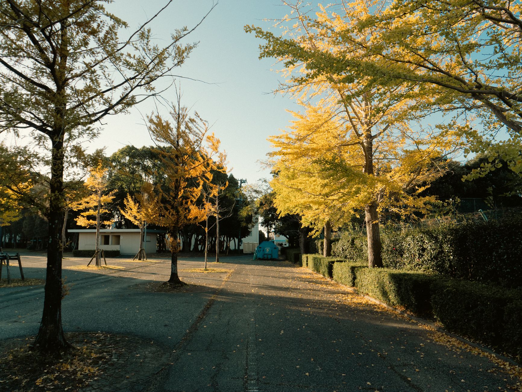 Japan Nature & Art in 12 Days: Osaka, Naoshima, Kyoto to Tokyo