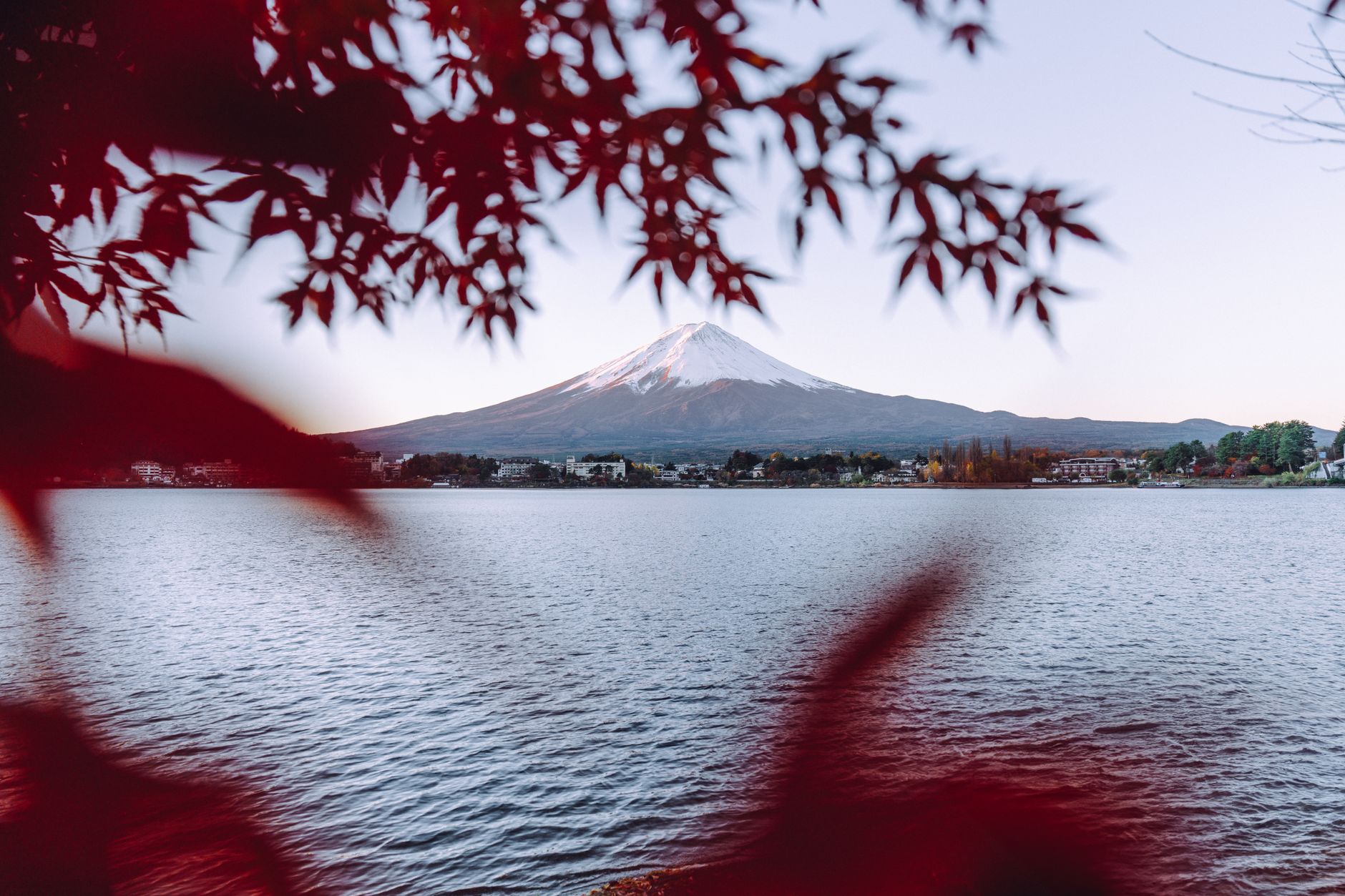 Mt. Fuji & Lake Kawaguchiko Autumn Day Tour — Oishi Park, Lakeside, Momiji Corridor
