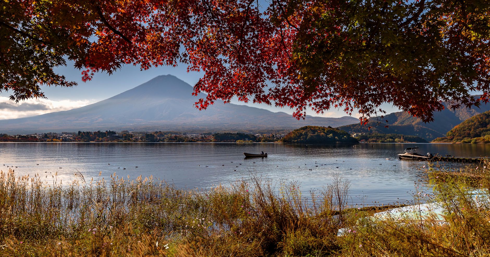 Mt. Fuji & Lake Kawaguchiko Autumn Day Tour — Oishi Park, Lakeside, Momiji Corridor