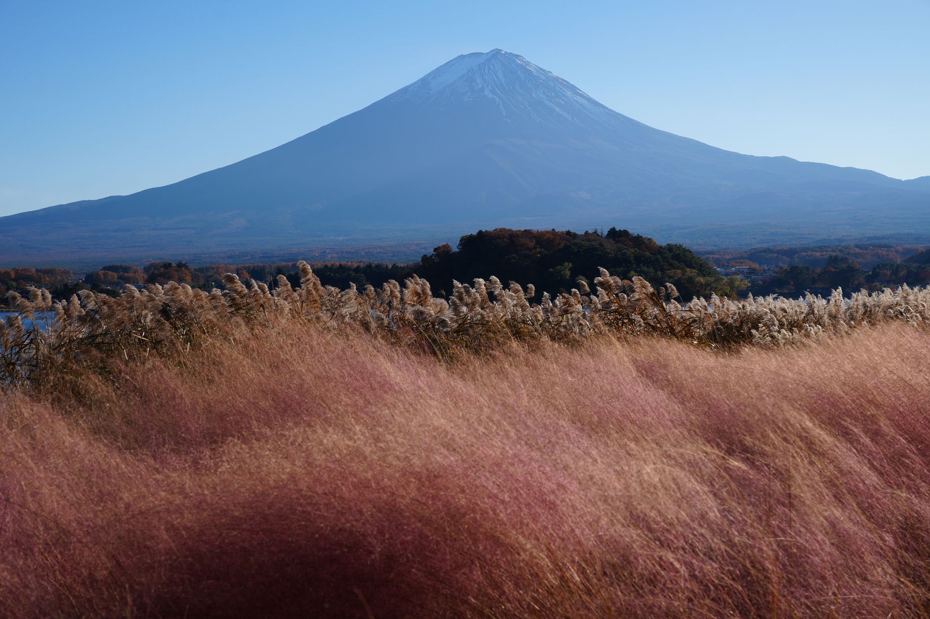 Mt. Fuji & Lake Kawaguchiko Autumn Day Tour — Oishi Park, Lakeside, Momiji Corridor