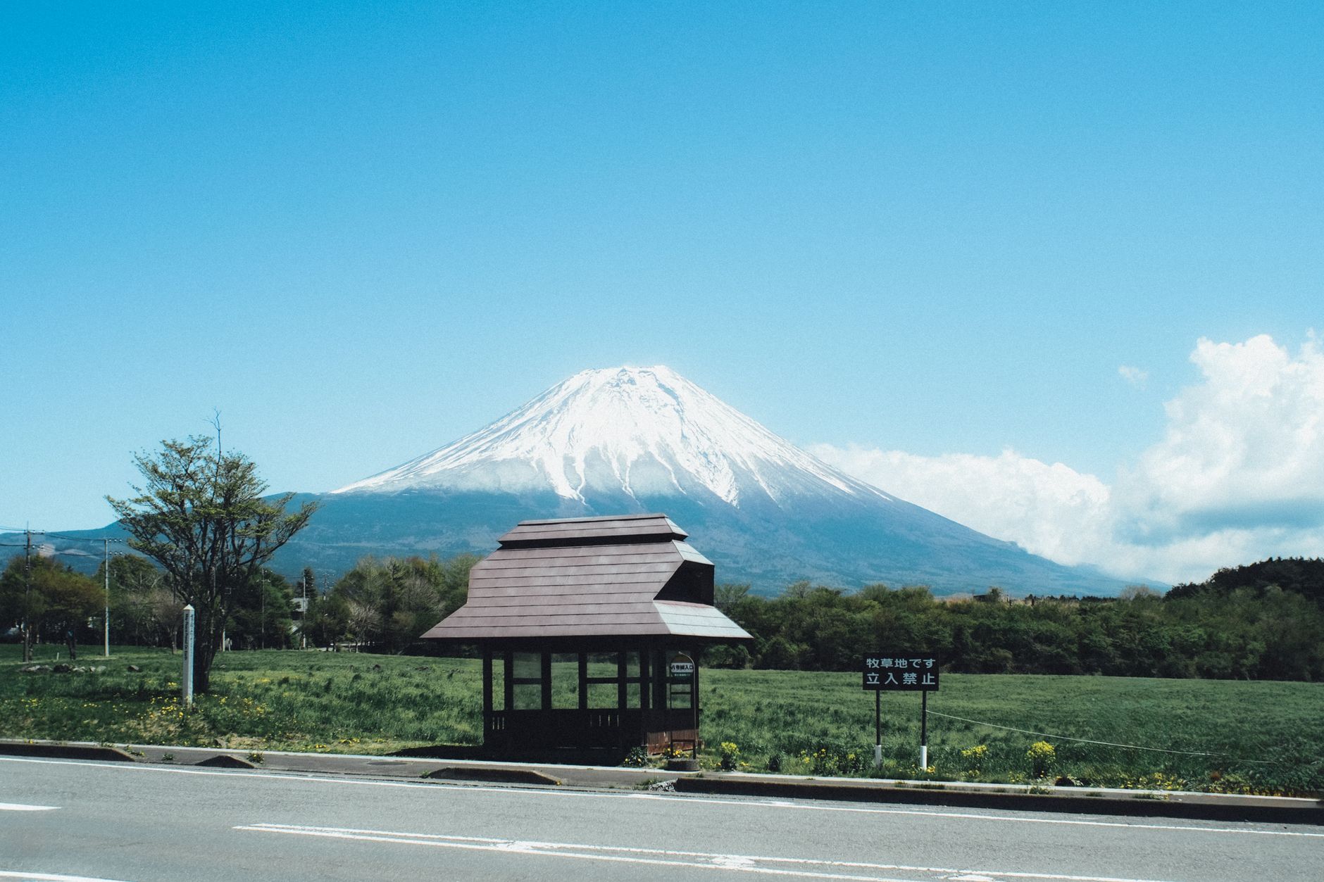 Mount Fuji rising above open farmland on the Fujinomiya side