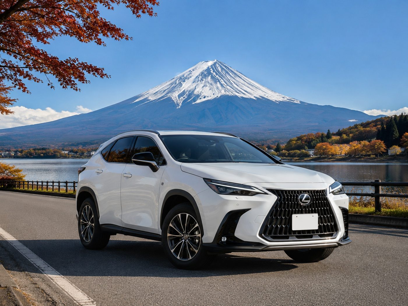 Charter with a Driver or Self-Drive Rental in Japan?