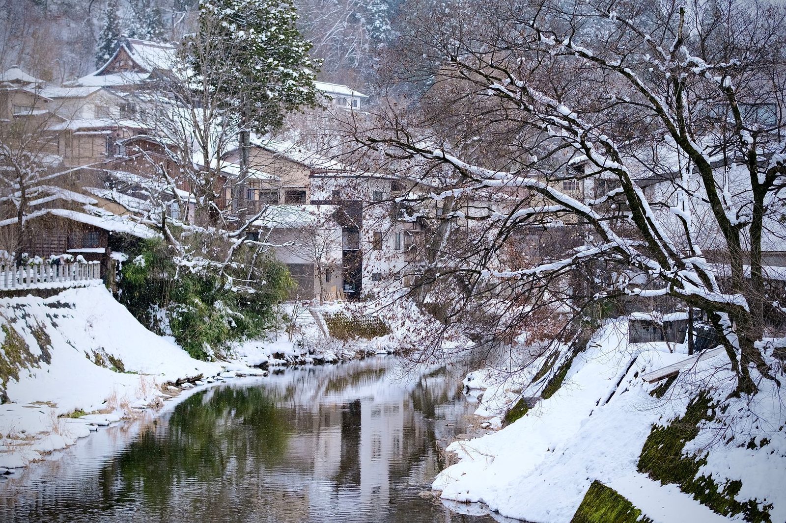 Illustrative photo: A picturesque winter view of snow-covered trees and traditional houses by a river in Takayama, Japan.