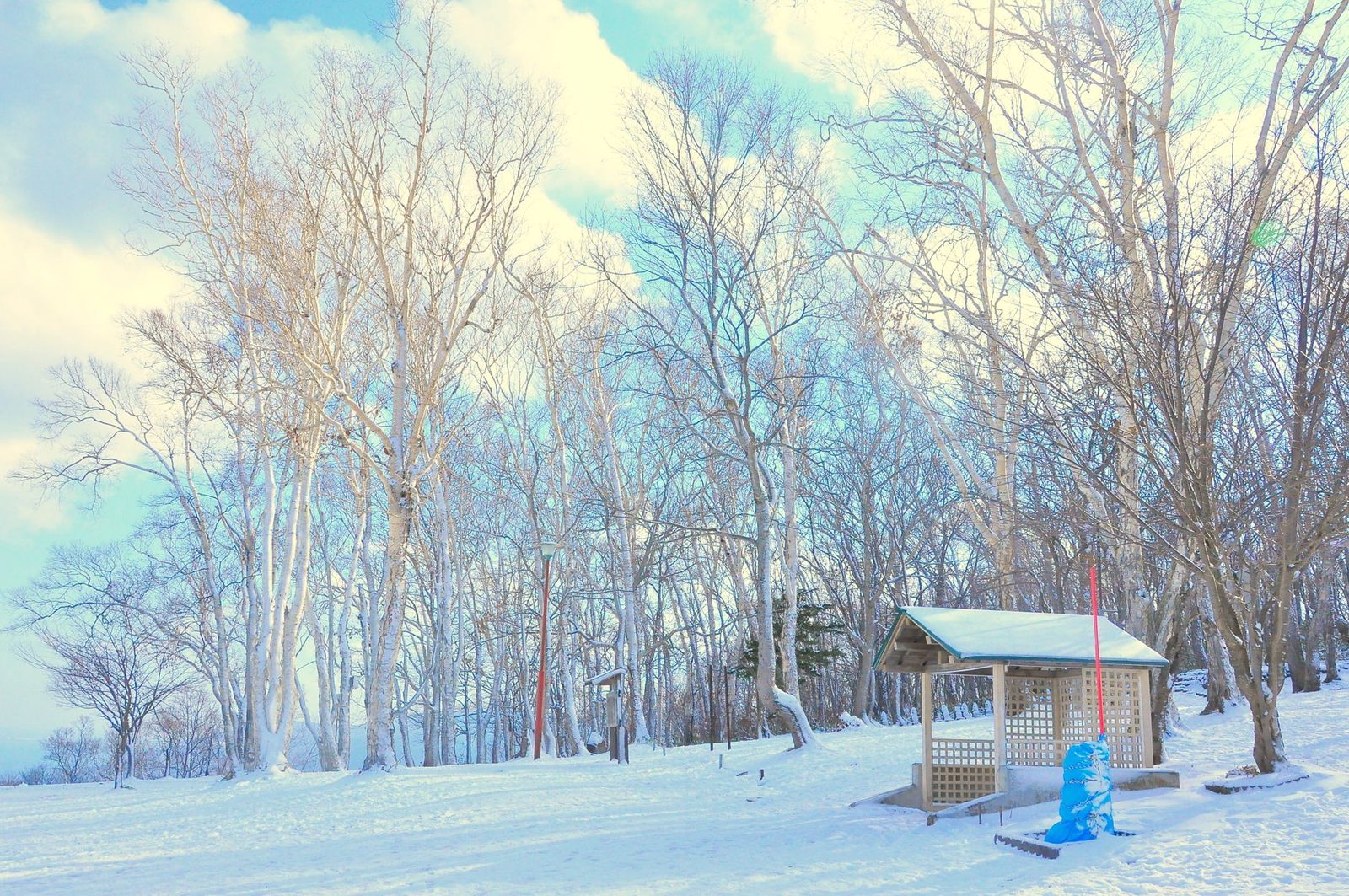 Illustrative photo: A serene snowy scene in Otaru, Hokkaido, Japan, featuring a forest and a wooden shelter.