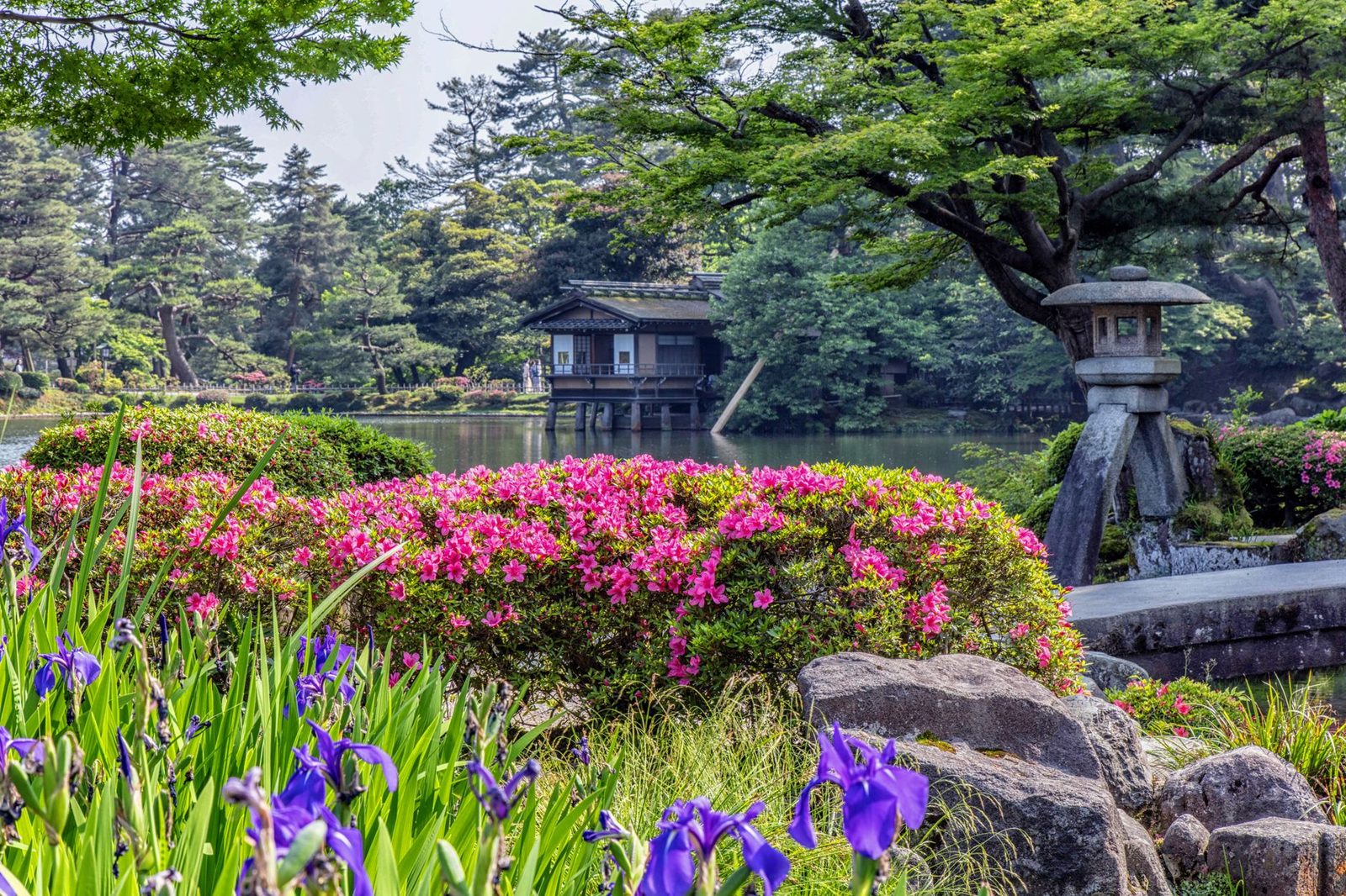 Illustrative photo: Beautiful spring scene in a Japanese garden with azaleas and a tranquil pond.