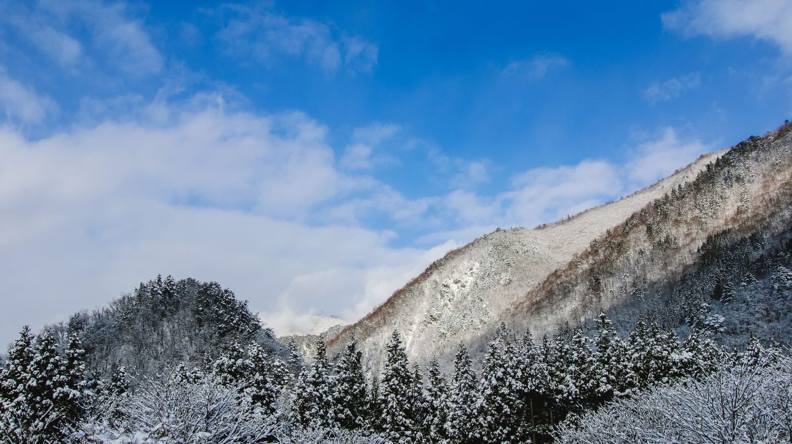 Illustrative photo: A scenic winter landscape showcasing snow-covered mountains and trees in Nagano, Japan.