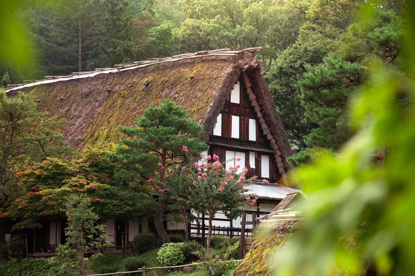 Illustrative photo: Traditional Gassho-Zukuri house surrounded by lush greenery in Takayama, Japan.