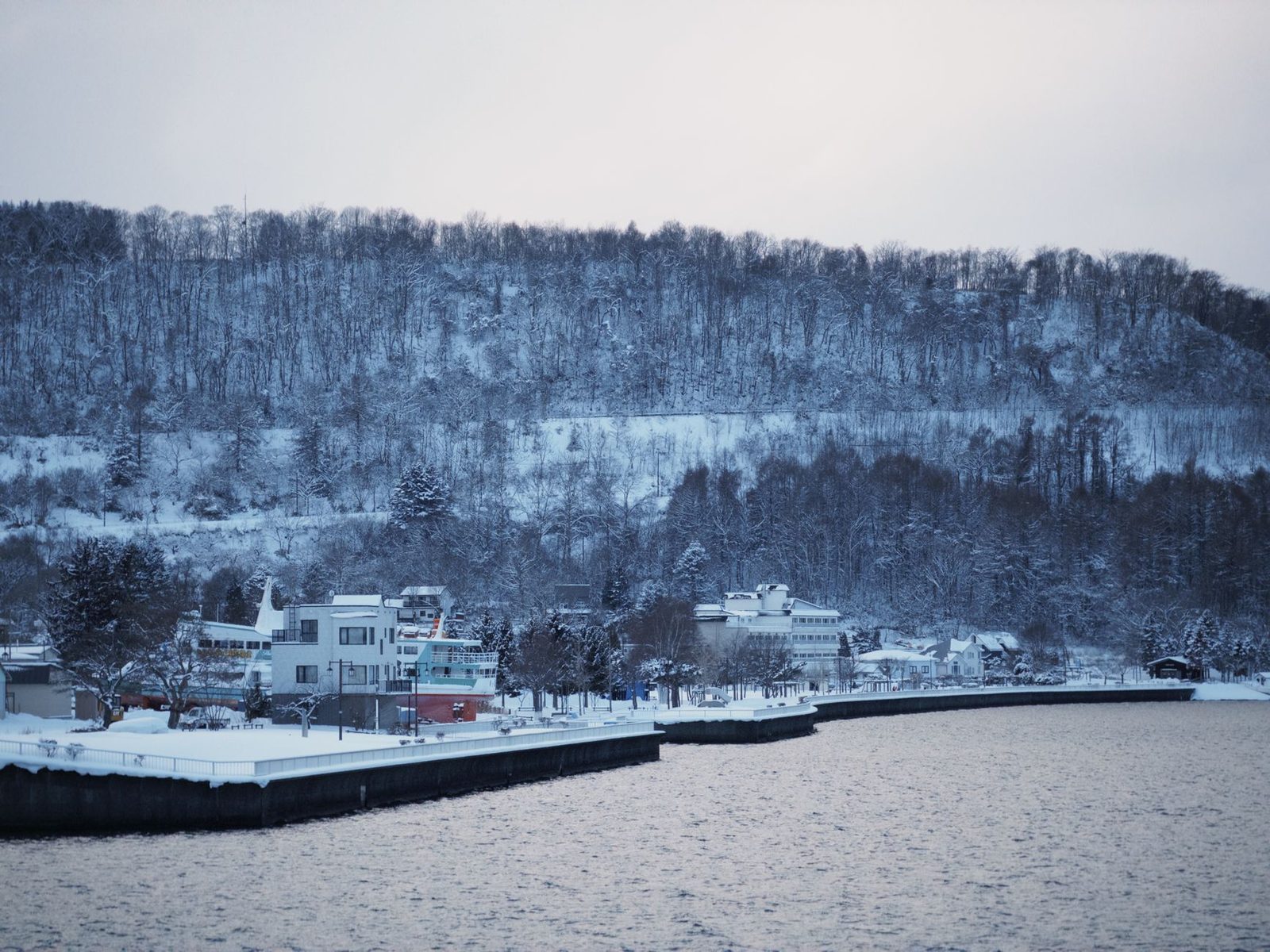 Illustrative photo: Serene winter landscape of Lake Toya in Hokkaido, Japan with snow-covered trees and buildings.