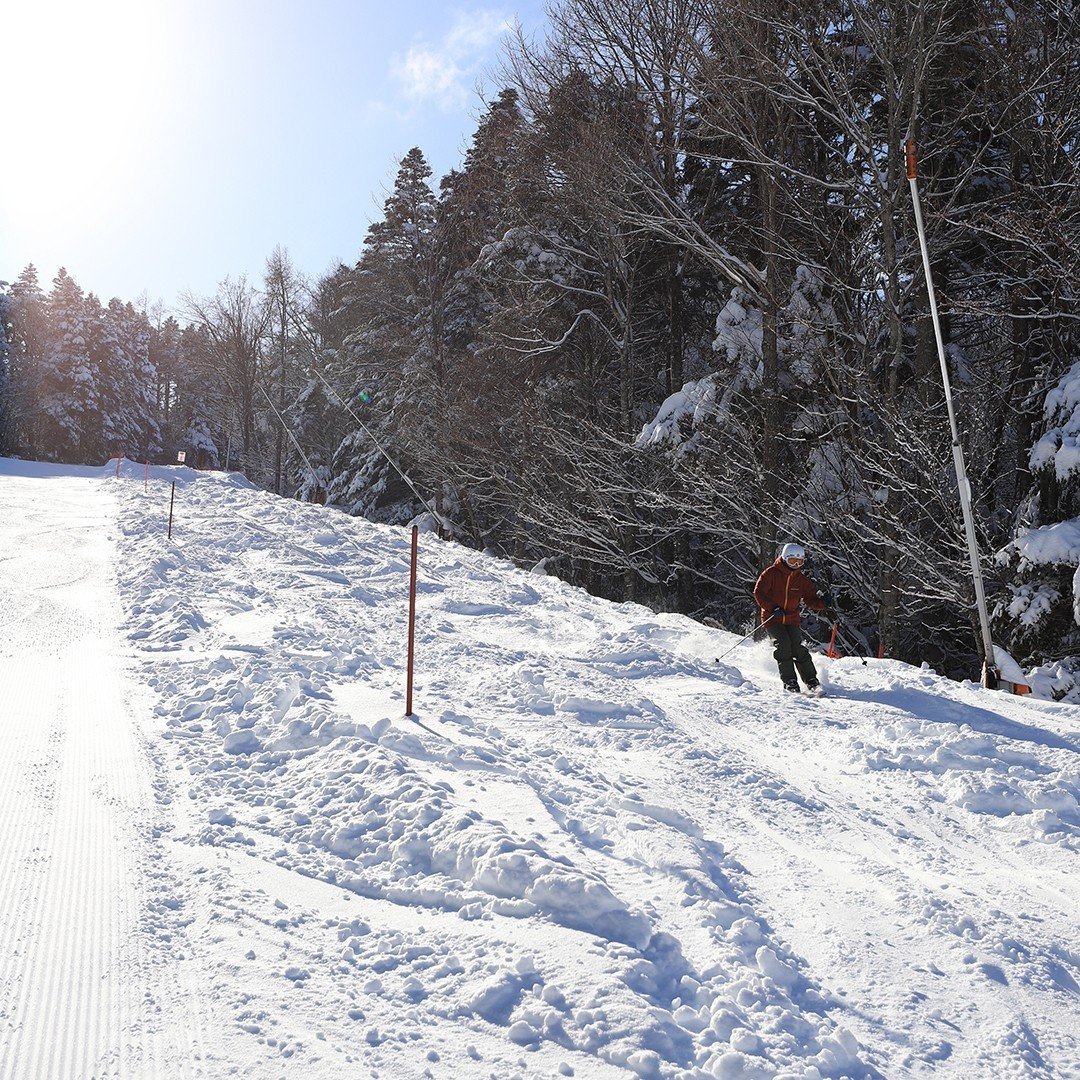 Mt. Fuji Ski Day Trip from Tokyo — Fujiten Snow Resort + Lake Kawaguchi