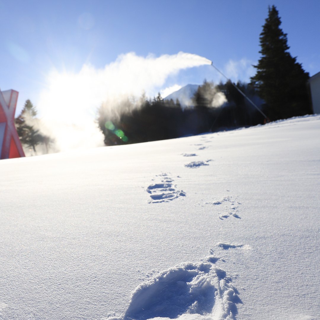 Mt. Fuji Ski Day Trip from Tokyo — Fujiten Snow Resort + Lake Kawaguchi