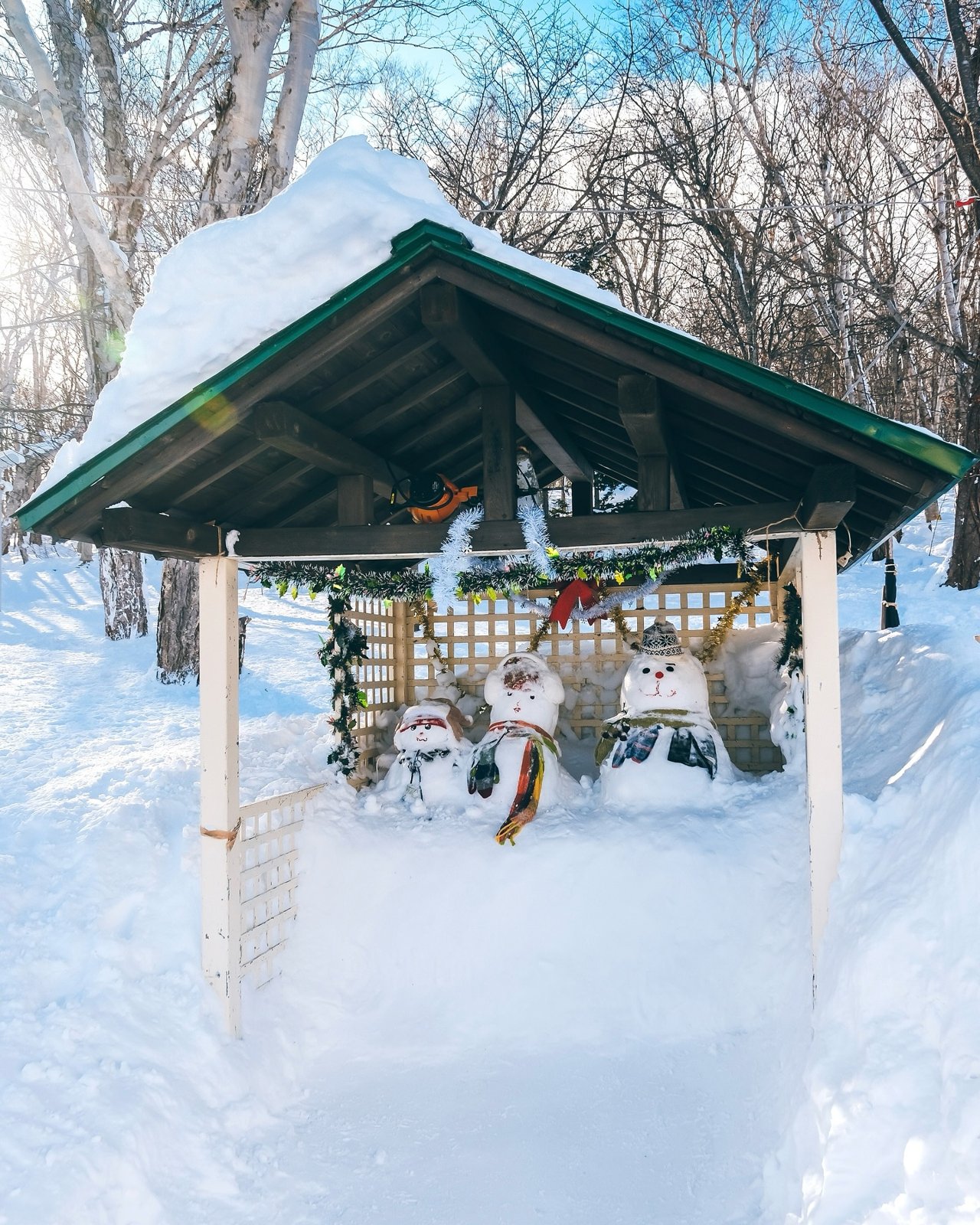 Sapporo: Odori Park, Clock Tower & Susukino · 240分