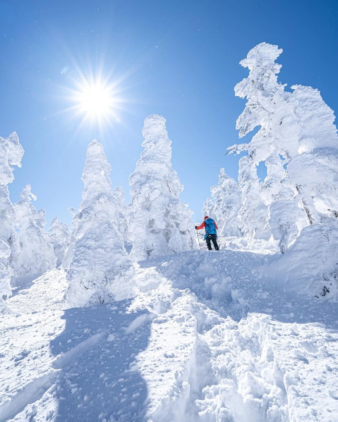 Ski day — Annupuri & Niseko Village · 480分