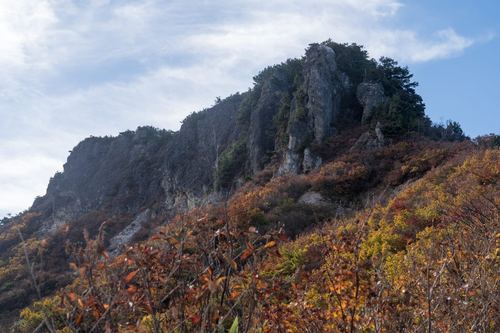 Hakusan National Park – Japan's Sacred White Peak and Wildflower Highlands
