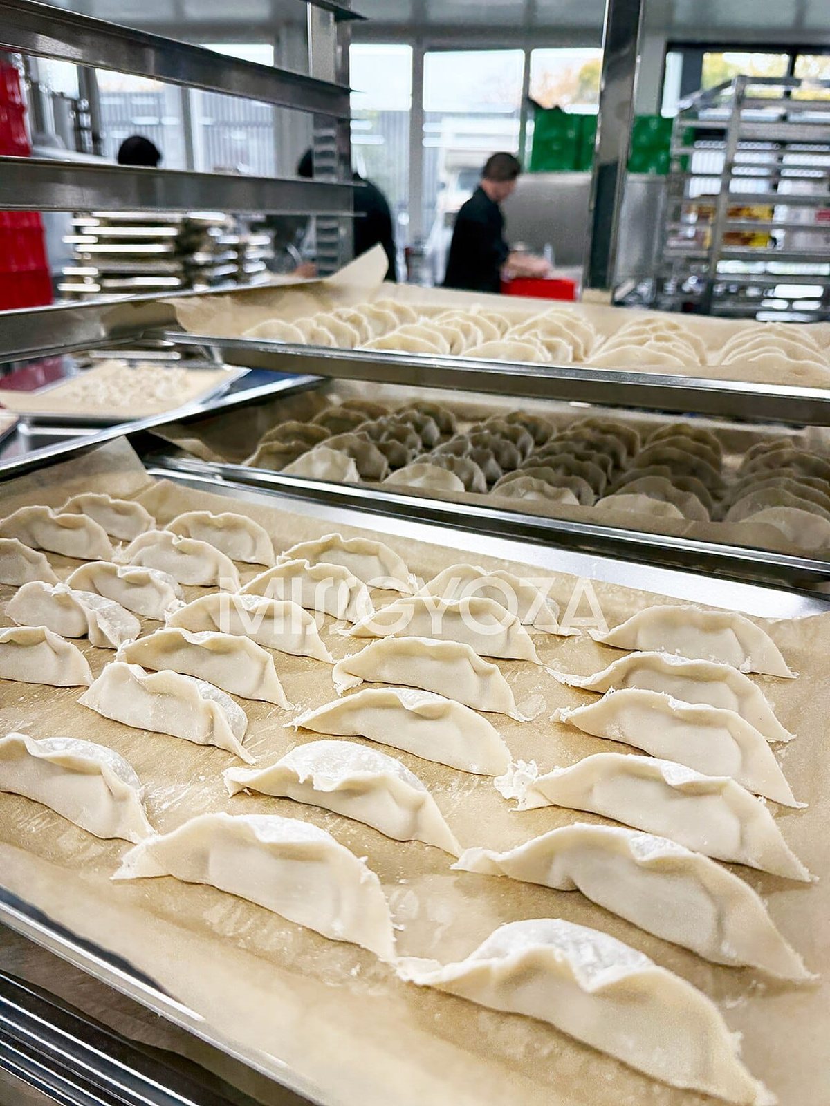 I migliori ristoranti di gyoza a Tokyo: alla piastra, bolliti e in padella di ghisa