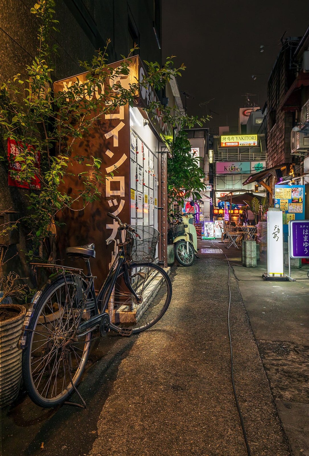 Neo Yokocho Guide: How to Enjoy Shibuya Yokocho and Toranomon Yokocho