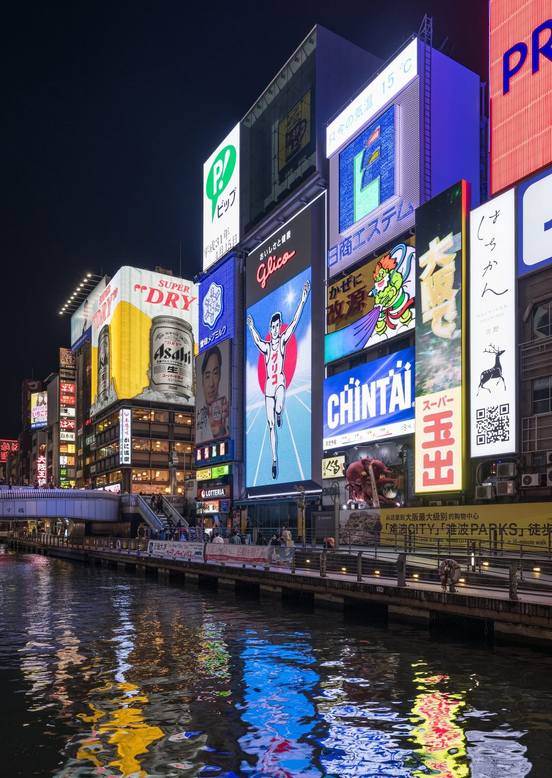 Dotonbori dinner