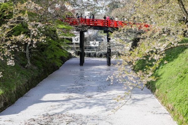 Wie man einen Tag bei Hirosaki Burg Sakura verbringt