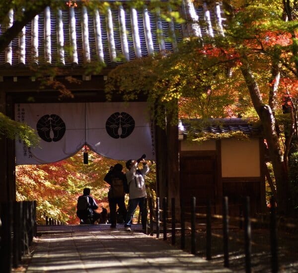 15-Day In-Depth Japan Autumn Tour with Landscapes and Tradition — OlaChill day tour