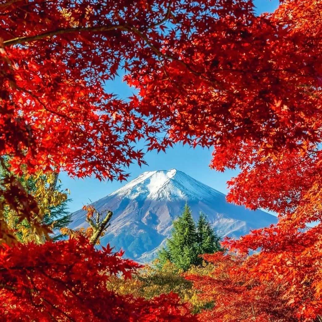 Mount Fuji in Fall – Koyo Season and the Blazing Colors Around Japan's Sacred Peak